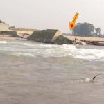Karimnagar: కుప్పకూలిన మానేరు చెక్ డ్యామ్.. కొట్టుకుపోయిందా? కూలగొట్టారా..?