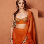 Nehashetty : టిల్లు బ్యూటీ ఖతర్నాక్ ఫోటో షూట్.. అబ్బా మతిపోతుంది మావా..