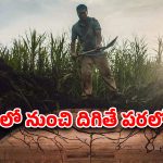 OTT Movie : ప్రాణాంతక వైరస్ నుంచి తప్పించుకోవడానికి పరుగులు… ఈ అమ్మాయి గట్స్ కు దండం పెట్టాల్సిందే భయ్యా
