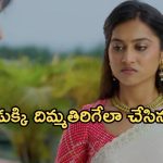 Podarillu Today Episode : మహా పై పెళ్లి కొడుకు సీరియస్.. ప్రతాప్ ఫుల్ హ్యాపీ.. మాధవ్ పెళ్లి కోసం టెన్షన్..