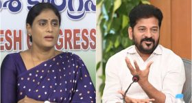 Dog Pooping Behavior: కుక్కలు మల విసర్జనకు ముందు గుండ్రంగా ఎందుకు తిరుగుతాయి?