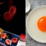 Egg Yolk: గుడ్డు పచ్చసొన కొలెస్ట్రాల్‌ను పెంచుతుందా ? గుండె ఆరోగ్యంపై  ప్రభావం ఎంత ?