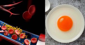 Egg Yolk: గుడ్డు పచ్చసొన కొలెస్ట్రాల్‌ను పెంచుతుందా ? గుండె ఆరోగ్యంపై  ప్రభావం ఎంత ?