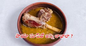 Paya Soup Benefits: పాయా సూప్ తాగకపోతే.. ఈ ప్రయోజనాలు మిస్సవుతారు