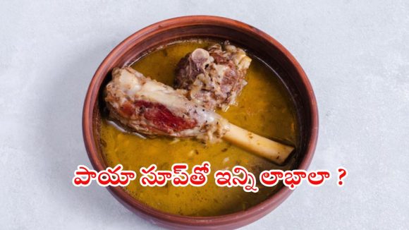 Paya Soup Benefits: పాయా సూప్ తాగకపోతే.. ఈ ప్రయోజనాలు మిస్సవుతారు