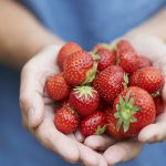 Strawberry: చలికాలంలో ఒక్కసారైనా స్ట్రాబెర్రీలు తినడం ఎంత అవసరమో తెలుసా?
