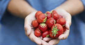 Strawberry: చలికాలంలో ఒక్కసారైనా స్ట్రాబెర్రీలు తినడం ఎంత అవసరమో తెలుసా?