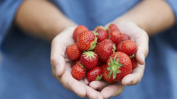 Strawberry: చలికాలంలో ఒక్కసారైనా స్ట్రాబెర్రీలు తినడం ఎంత అవసరమో తెలుసా?