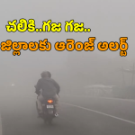 AP TG Weather: తెలుగు రాష్ట్రాలపై చలి పంజా.. మరో రెండ్రోజులు కనిష్ఠ ఉష్ణోగ్రతలు