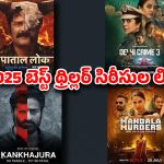 Year Ender 2025 : 2025లో వచ్చిన బెస్ట్ థ్రిల్లర్ సిరీసులు… ఏ ఓటీటీలో ఉన్నాయంటే ?