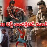 Year Ender 2025 : 2025 లో వచ్చిన బెస్ట్ ఇండియన్ అండర్రేటెడ్ సినిమాలు… ఒక్కోటి ఒక్కో ఓటీటీలో