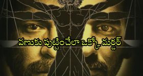 Today Horoscope in Telugu: ఆ రాశి వారు చేపట్టిన పనుల్లో విజయం - వారికి నూతన వాహన యోగం