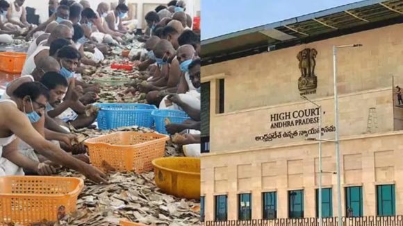 TTD Parakamani Case: టీటీడీ పరకామణి కేసు.. హైకోర్టు కీలక వ్యాఖ్యలు