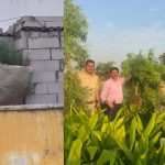Ganja Cultivation: పచ్చని పల్లెల్లో.. పరిమలిస్తున్న గంజాయి