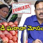 Woman Job Fraud: కలెక్టర్ సంతకం ఫోర్జరీ.. ప్రభుత్వ ఉద్యోగాలపేరుతో.. మాయ లేడి భారీ టోకరా