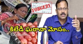 Woman Job Fraud: కలెక్టర్ సంతకం ఫోర్జరీ.. ప్రభుత్వ ఉద్యోగాలపేరుతో.. మాయ లేడి భారీ టోకరా