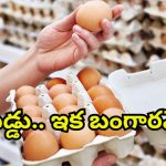 Egg Prices Hike: మింగుడు పడని గుడ్డు.. బహిరంగ మార్కెట్లో ఏకంగా రూ.10? ధరలు పెరగడానికి కారణాలివే!