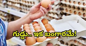 Egg Prices Hike: మింగుడు పడని గుడ్డు.. బహిరంగ మార్కెట్లో ఏకంగా రూ.10? ధరలు పెరగడానికి కారణాలివే!
