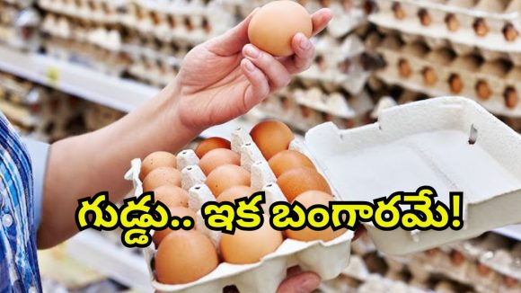 Egg Prices Hike: మింగుడు పడని గుడ్డు.. బహిరంగ మార్కెట్లో ఏకంగా రూ.10? ధరలు పెరగడానికి కారణాలివే!