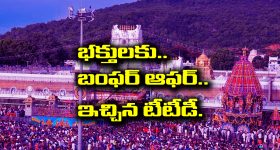 TTD offers: తిరుమల తిరుపతి బోర్డు నుంచి బంపర్ ఆఫర్ - రెండు తెలుగు రాష్ట్రాల ప్రజలకు మాత్రమే