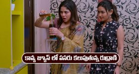 Hyderabad News: ప్రపంచవ్యాప్తంగా అంబరాన్ని తాకిన న్యూఇయర్ వేడుకలు.. హాజరైన సీఎం రేవంత్‌రెడ్డి