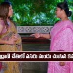 Brahmamudi Serial Today January 5th: ‘బ్రహ్మముడి’ సీరియల్‌: రెండో రోజు పసరు మందు తీసుకున్న రుద్రాణి