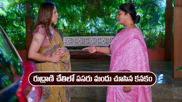 Brahmamudi Serial Today January 5th: ‘బ్రహ్మముడి’ సీరియల్‌: రెండో రోజు పసరు మందు తీసుకున్న రుద్రాణి
