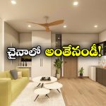 Viral News: సింగిల్ బెడ్రూం అపార్ట్ మెంట్ జస్ట్ రూ.9,000కే.. మరీ ఇంత తక్కువ ఎలా బ్రో?