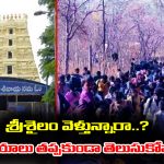 Devotees Alert: శ్రీశైలం నడక మార్గంలో వెళ్లే భక్తులకు అలెర్ట్ – ఈ విషయాలు తెలియకుండా అస్సలు వెళ్ళకండి