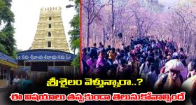 Kamareddy Crime: చికిత్స కోసం వెళ్తే చితికి చేర్చారు.. మందుల చీటీ తారుమారు.. వృద్ధుడి దుర్మరణం
