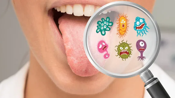 Mouth Bacteria: నోటి శుభ్రత లేకుంటే కాలేయానికి ప్రమాదమే ! తాజా పరిశోధనలో షాకింగ్ నిజాలు