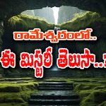 Mysterious Wells: రామేశ్వరం వెళ్తున్నారా..? అయితే ఖచ్చితంగా ఈ మిస్టరీ బావుల గురించి  తెలుసుకోవాల్సిందే