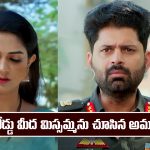 Nindu Noorella Saavasam Serial Today January 16th: ‘నిండు నూరేళ్ల సావాసం’ సీరియల్‌: రోడ్డు మీద మిస్సమ్మను చూసిన అమర్