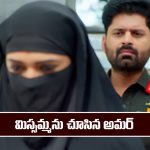 Nindu Noorella Saavasam Serial Today January 21st: ‘నిండు నూరేళ్ల సావాసం’ సీరియల్‌: ముసుగులో ఉన్న మిస్సమ్మను చూసిన అమర్  