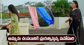Nindu Noorella Saavasam Serial Today January 23rd: ‘నిండు నూరేళ్ల సావాసం’ సీరియల్‌: అమ్మును చంపేందుకు మనోహరి ప్లాన్  