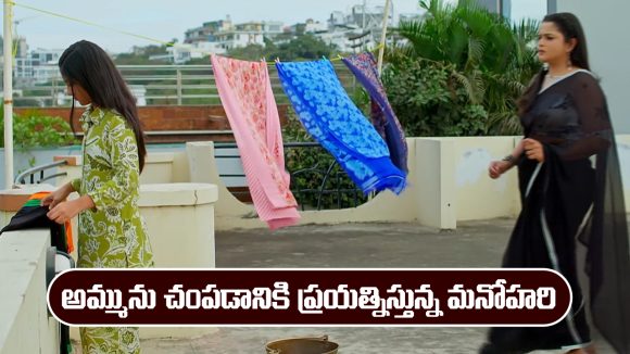 Nindu Noorella Saavasam Serial Today January 23rd: ‘నిండు నూరేళ్ల సావాసం’ సీరియల్‌: అమ్మును చంపేందుకు మనోహరి ప్లాన్  