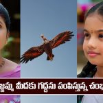 Nindu Noorella Saavasam Serial Today January 29th: ‘నిండు నూరేళ్ల సావాసం’ సీరియల్‌: బుజ్జమ్మ మీదకు గద్దను ప్రయోగించనున్న చంభా  