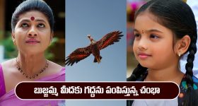 Nindu Noorella Saavasam Serial Today January 29th: ‘నిండు నూరేళ్ల సావాసం’ సీరియల్‌: బుజ్జమ్మ మీదకు గద్దను ప్రయోగించనున్న చంభా  