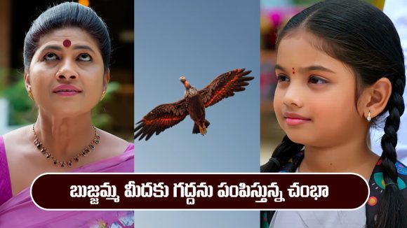 Nindu Noorella Saavasam Serial Today January 29th: ‘నిండు నూరేళ్ల సావాసం’ సీరియల్‌: బుజ్జమ్మ మీదకు గద్దను ప్రయోగించనున్న చంభా  