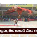Nindu Noorella Saavasam Serial Today January 30th: ‘నిండు నూరేళ్ల సావాసం’ సీరియల్‌: బుజ్జమ్మను అటాక్ చేసిన గద్ద  