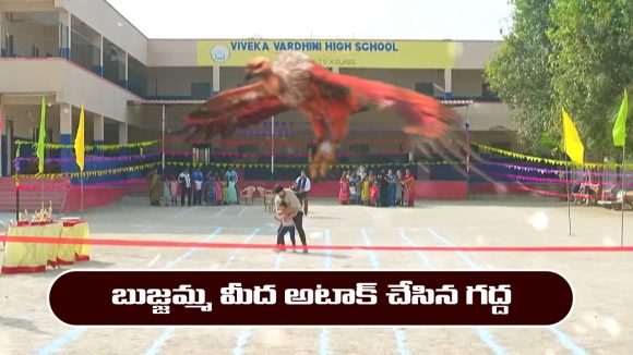 Nindu Noorella Saavasam Serial Today January 30th: ‘నిండు నూరేళ్ల సావాసం’ సీరియల్‌: బుజ్జమ్మను అటాక్ చేసిన గద్ద  