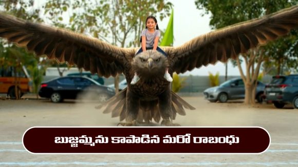 Nindu Noorella Saavasam Serial Today January 31st: ‘నిండు నూరేళ్ల సావాసం’ సీరియల్‌: బుజ్జమ్మను కాపాడిన మరో రాబంధు 
