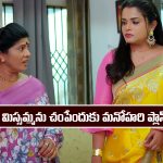 Nindu Noorella Saavasam Serial Today January 8th: ‘నిండు నూరేళ్ల సావాసం’ సీరియల్‌:  మిస్సమ్మను చంపేందుకు మనోహరి ప్లాన్