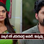 Nindu Noorella Saavasam Serial Today January 10th: ‘నిండు నూరేళ్ల సావాసం’ సీరియల్‌: స్కూల్ లో ఎదురెదురుగా మిస్సమ్మ, అమర్  