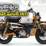 Honda Monkey 125:  సరికొత్త హోండా మంకీ 125 వచ్చేసింది, స్పెషాలిటీ ఏంటో తెలుసా?