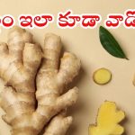 Ginger: అల్లం వాడుతున్నారా ? ఈ 5 పొరపాట్లు చేస్తే ప్రయోజనం సున్నా !