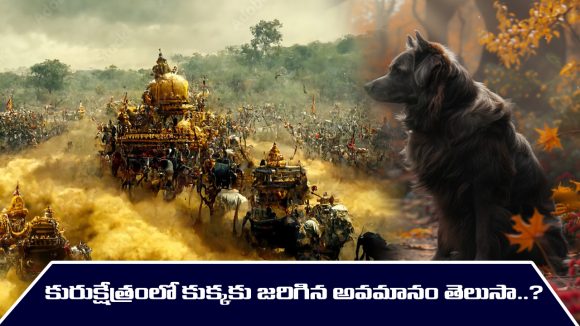  Mahabharat: కుక్కతో మొదలైన భారతం కుక్కతోనే ముగుస్తుందట – వ్యాస భారతంలో ఎన్ని మిస్టరీలో తెలుసా..?