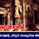 Hidden temples: అరుణాచలంలో మిస్టరీ శివలింగాలు – ఇంకా ఎవరికీ తెలియని ఆలయాలెన్నో