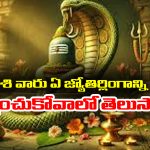 Jyotirlinga Darshan: పన్నెండు రాశులకు పన్నెండు జ్యోతిర్లింగాలు – ఏ రాశి వారు ఏ లింగాన్ని దర్శించుకోవాలో తెలుసా..?