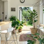 Plants for home: మీ ఇంటికి లక్ష్మీదేవి రావాలా? అయితే మెయిన్ డోర్ దగ్గర ఈ మొక్కలు ఉండాల్సిందే!
